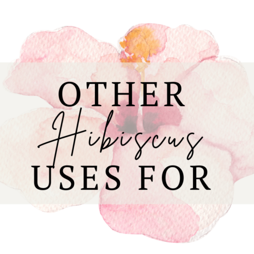 Best and Easy Hibiscus Flower Tea Freezer Jelly Recipe A Farm to Keep