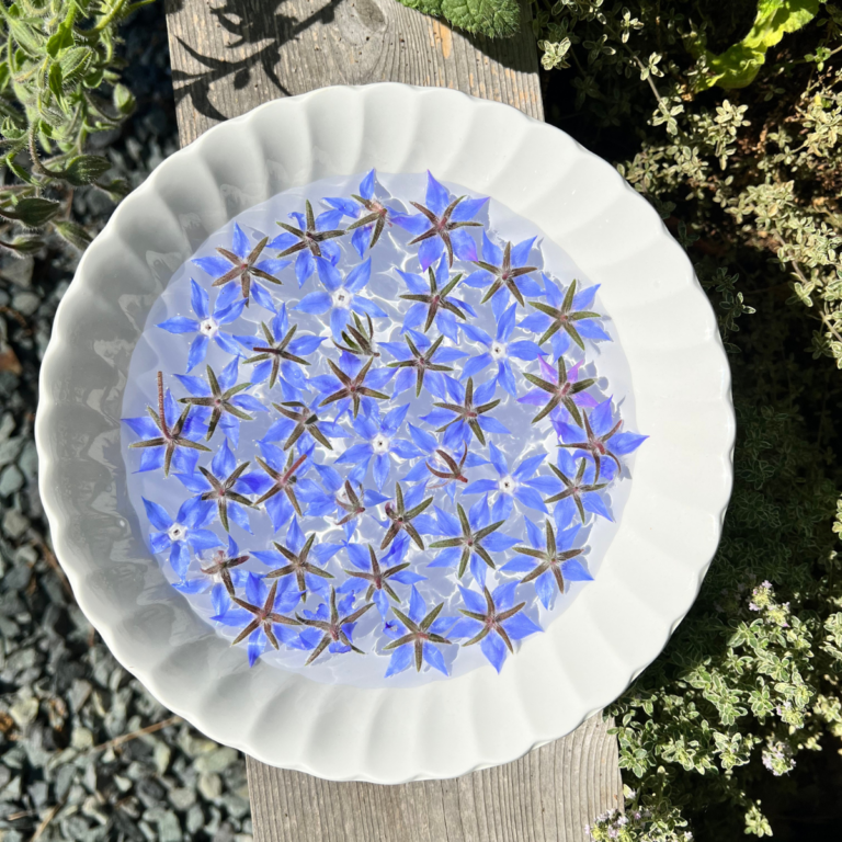 Make Your Own Borge Flower Essence