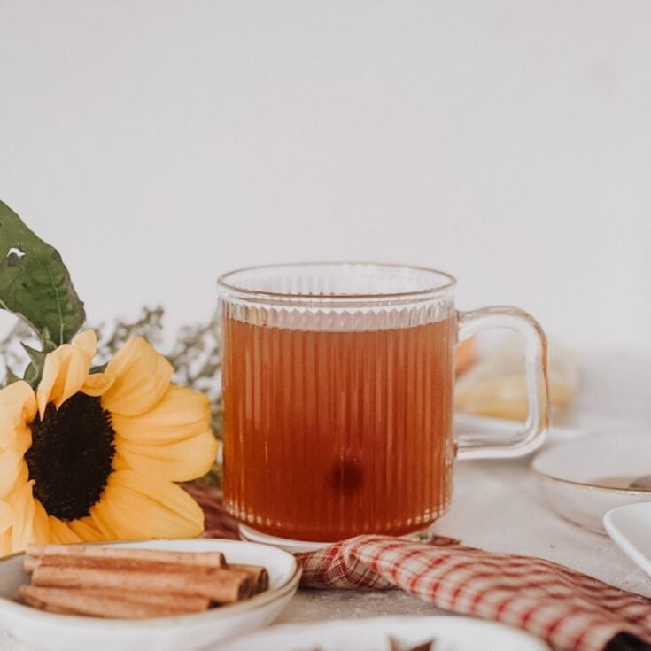 Slow Cooked Herbal Apple Cider