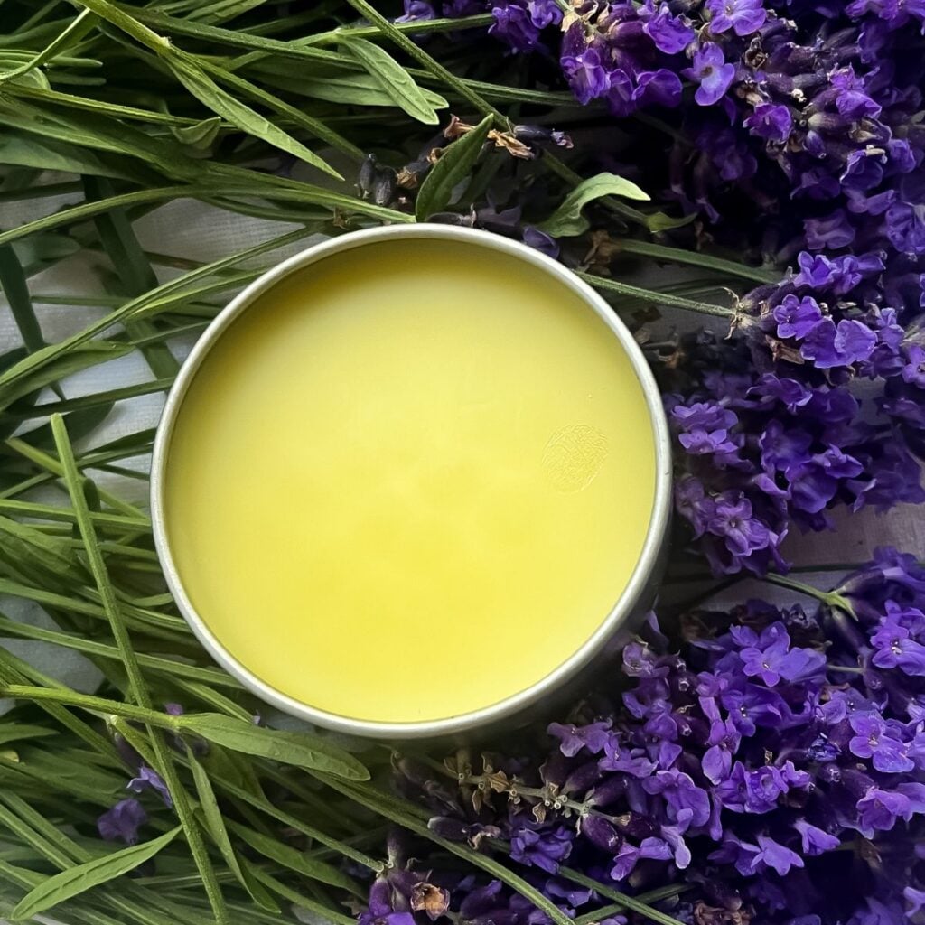 close up of the lavender salve on top of fresh lavender flowers.